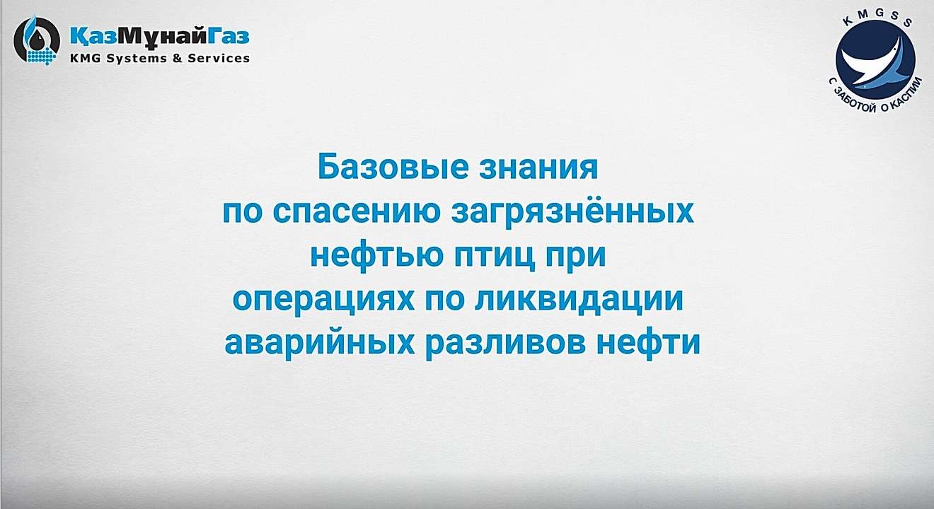 ТОО KMG Systems&Services и НПУ "Эко Мангистау" про...