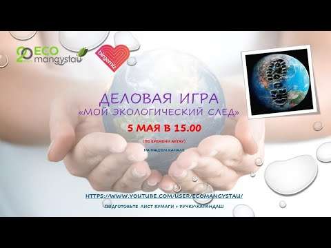 Деловая игра "Мой экологический след"