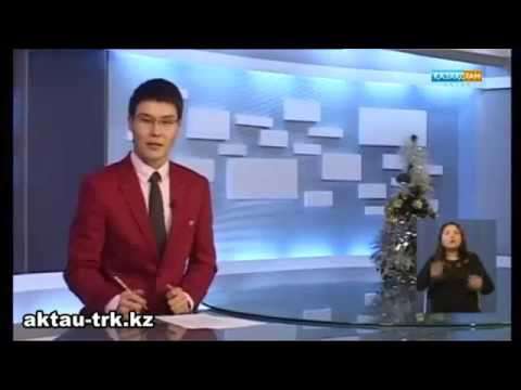 Экологи запрещают кормить лебедей хлебом