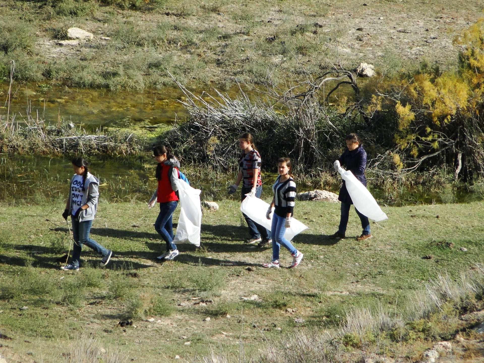 Конкурс «Твой чистый двор — Наш чистый город!»