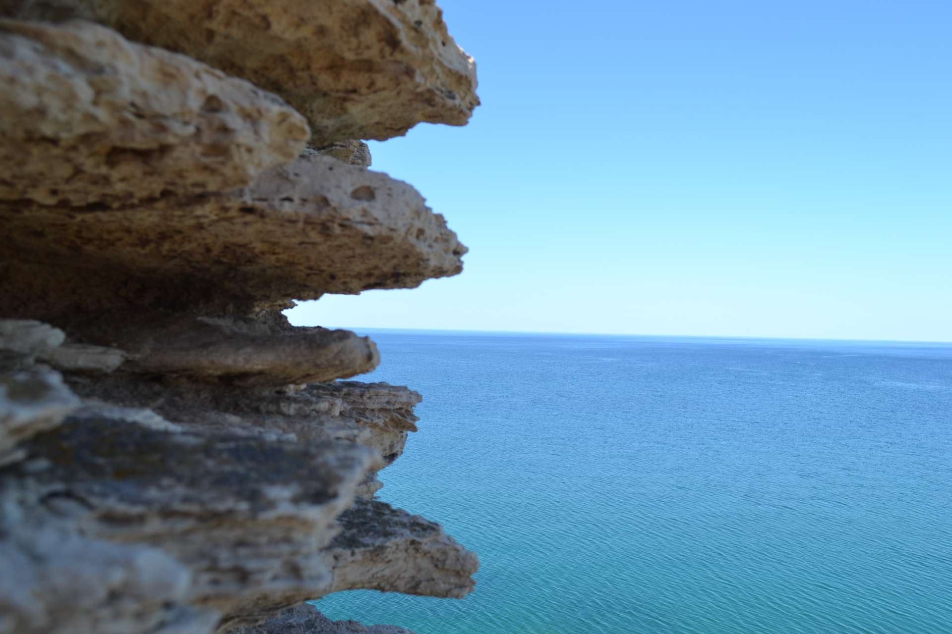 «Планета Милосердия»