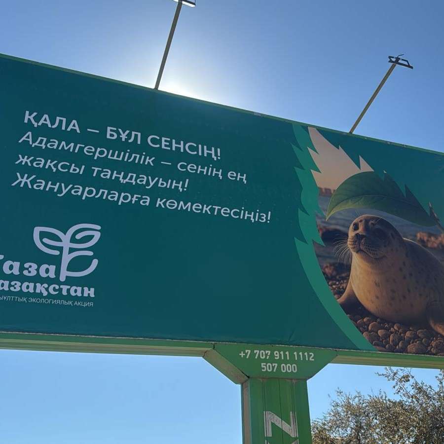 Эко культура — это наш выбор!