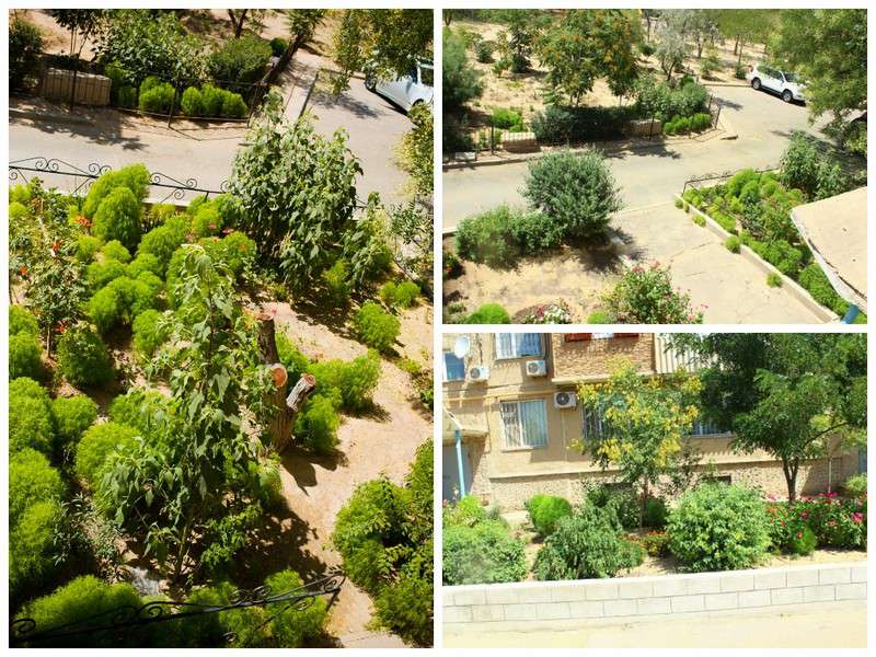 Лучший двор 2014