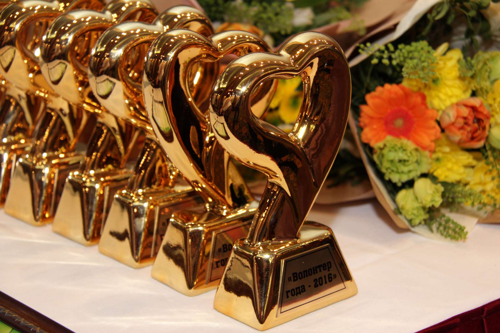 Форум «Волонтером быть модно!»