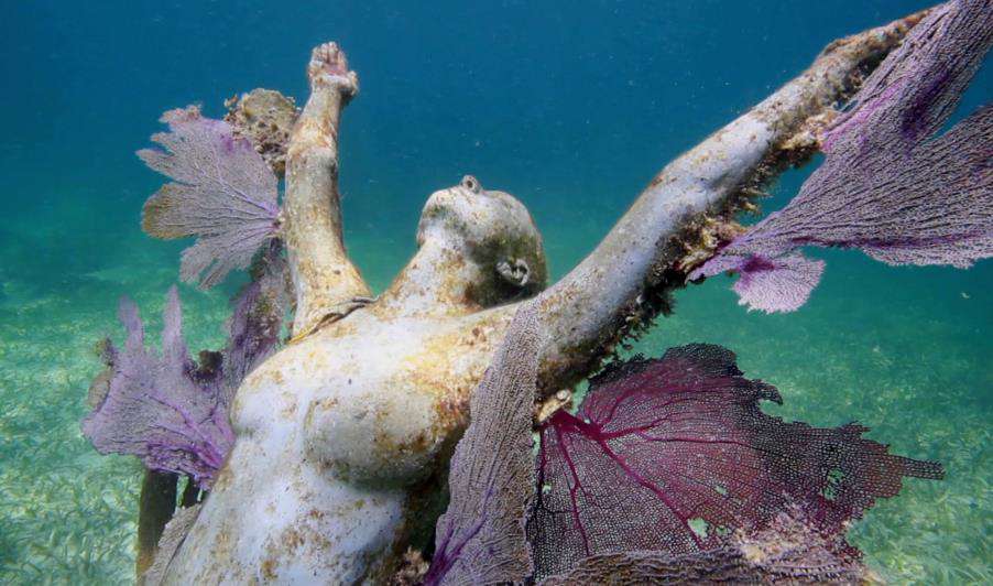 «Фестиваль экологического кино»