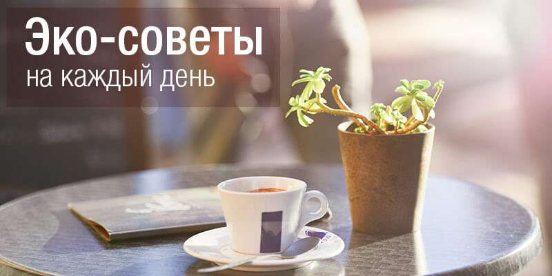 Как быть экологичным? 30 советов на каждый день